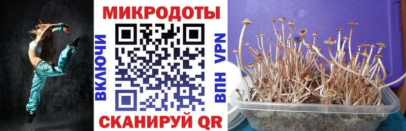 цены наркотик  Менделеевск  OMG ТОР  Псилоцибиновые грибы MAGIC MUSHROOMS 