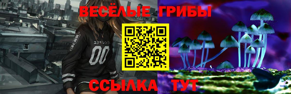 Псилоцибиновые грибы ЛСД  Вход с VPN  что такое   Менделеевск 