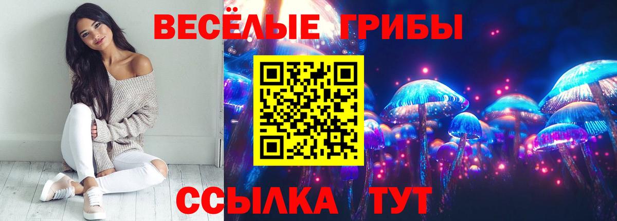 Псилоцибиновые грибы Magic Shrooms  Менделеевск 